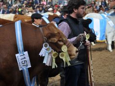 La Agenda del Campo