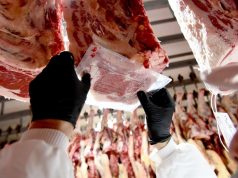 Carne vacuna: buscan modernizar el sistema de tipificación