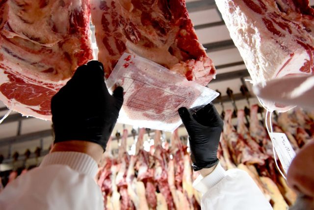 tipificacion carnes 2