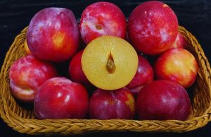 Fruta de carozo: Argentina busca consolidar su presencia en China