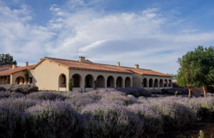 Colomé, entre los mejores viñedos del mundo