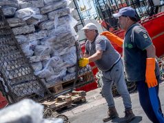 La pesca aumentó sus exportaciones en volumen y valor