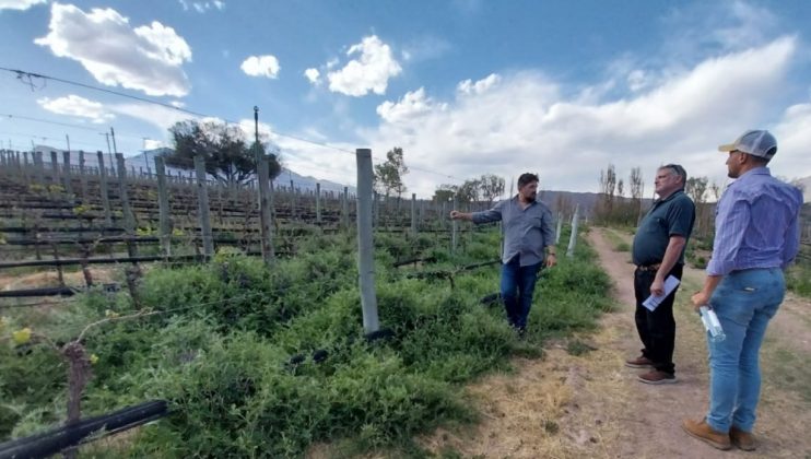 Bodegas de Jujuy y San Juan recibieron reconocimientos