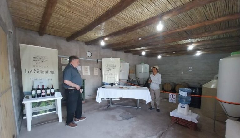 Bodegas de Jujuy y San Juan recibieron reconocimientos