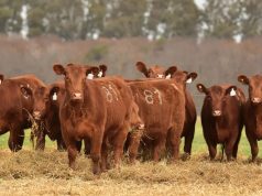 El Gobierno moderniza el acceso a la información de faena