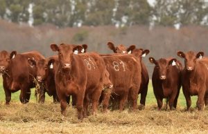 El Gobierno moderniza el acceso a la información de faena