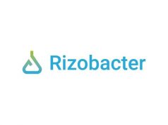 Fertilización: Rizobacter confirma stock de Microstar para la fina