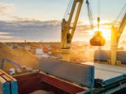 Buen desempeño argentino en cuotas de exportación agroindustrial