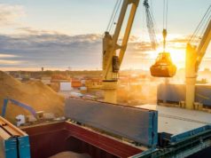 Buen desempeño argentino en cuotas de exportación agroindustrial