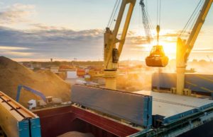 Buen desempeño argentino en cuotas de exportación agroindustrial