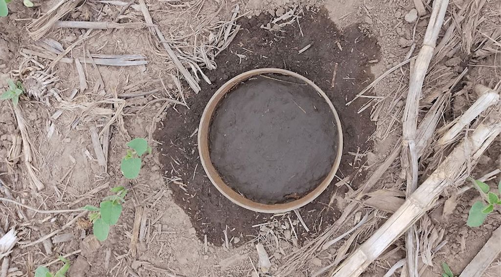 Cosecha y compactación por tránsito de maquinaria