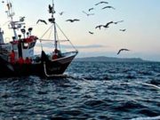 La pesca consolidó un fuerte repunte en el inicio de 2026