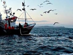 La pesca consolidó un fuerte repunte en el inicio de 2026