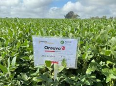 Coragen y Onsuva: soluciones para optimizar el rendimiento de soja