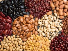 Legumbres: crece la producción, rindes y superficie sembrada