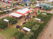 Expoagro: Supra Semillas presentará híbridos de última generación