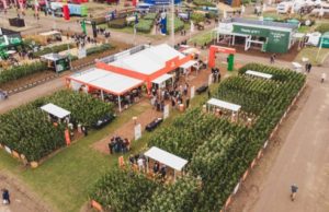 Expoagro: Supra Semillas presentará híbridos de última generación