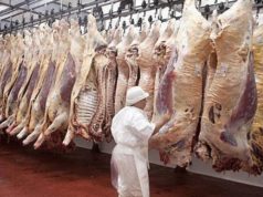 Ligero aumento en la faena de hembras