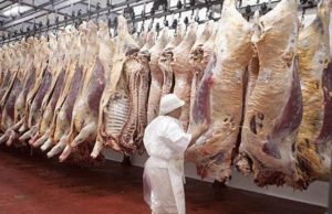 Ligero aumento en la faena de hembras