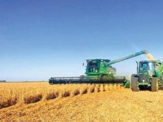 La cadena agropecuaria mostró un fuerte repunte en noviembre