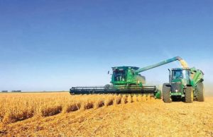 La cadena agropecuaria mostró un fuerte repunte en noviembre