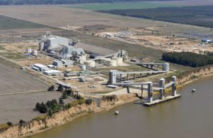 El agro consolida su impulso exportador