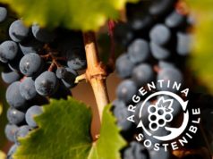 Avanza la certificación sostenible en el sector vitivinícola