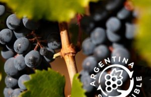 Avanza la certificación sostenible en el sector vitivinícola