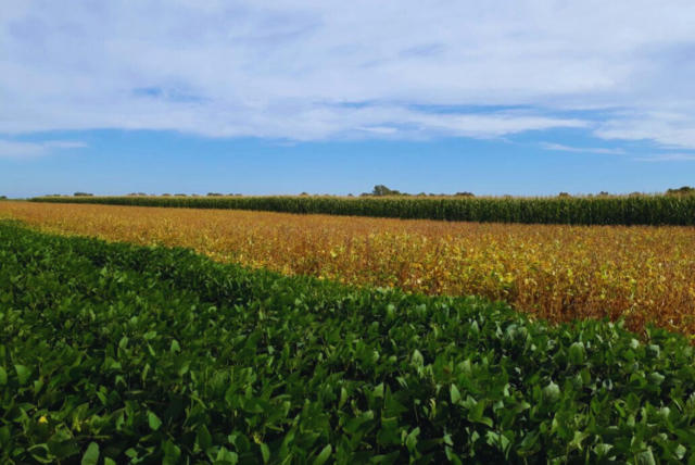 La rotación agrícola mejora la salud del suelo