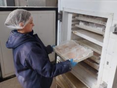 INTI y Rosamonte desarrollan nuevos productos a base de pacú