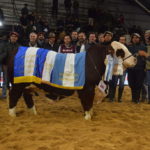 Gran-Campeon-Macho-Cabana-Santa-Irene-1536×1027 (1)