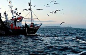 La pesca se consolida como motor productivo