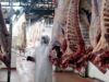 El Controlador Electrónico de Faena suma una nueva versión