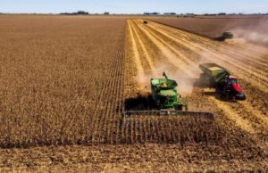 El agro amortiguó la desaceleración de la economía en diciembre