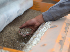 Fertilizantes: el agro demandó más insumos en el primer semestre