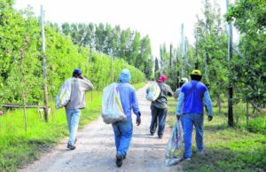 Uatre cuestionó el fin de la compatibilidad laboral con planes