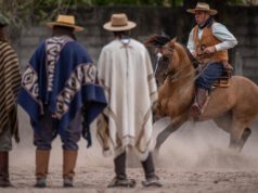 Criollos: comienza la “Exposición A” con lo mejor del NOA