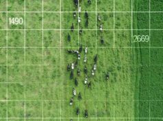 Legado 2025 distinguió a una innovación que potencia la ganadería