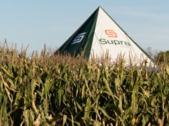 Una nueva marca con historia, genética con futuro y con todo para crecer