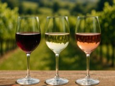 El mercado del vino ecológico duplicará su valor hacia 2033