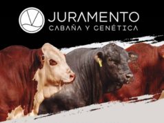 Cabaña Juramento presenta su primer remate anual