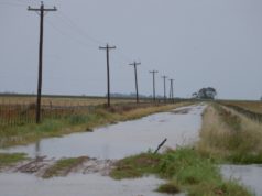 San Juan y Buenos Aires, bajo emergencia agropecuaria