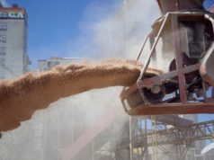 La agroindustria exportó USD 4.930 millones en septiembre