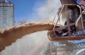 La agroindustria exportó USD 4.930 millones en septiembre