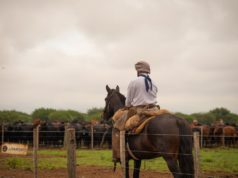 Juramento adquirió El Albardón y consolida su expansión en Salta