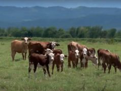 Suba para la hacienda