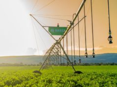 Innovaciones en riego con enfoque 360°