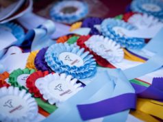 ExpoBra 2025: se eligieron los mejores toros Brangus, Brahman y Braford