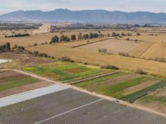 Nación desafectó tierras del INTA Cerrillos con destino habitacional