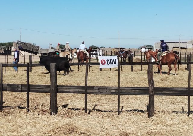 2025 09 Charlas Tecnicas CDV (1)